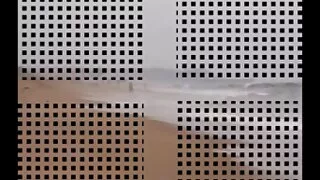 See kiisu on nii pingul, et pet sex porno ma olen umbes cum